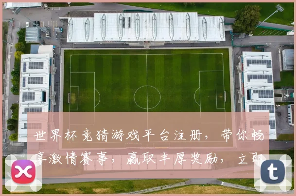 世界杯竞猜游戏平台注册，带你畅享激情赛事，赢取丰厚奖励，立即注册开启精彩之旅