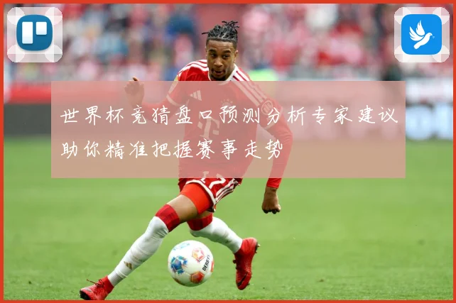 世界杯竞猜盘口预测分析专家建议助你精准把握赛事走势