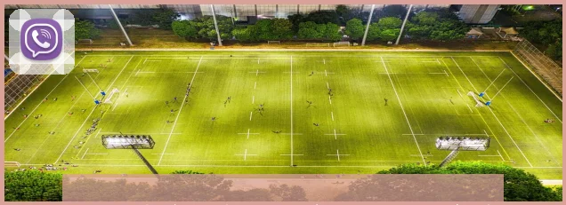 王曼昱带领中国女乒连胜日本选手 27岁女将泪洒赛场痛苦不已