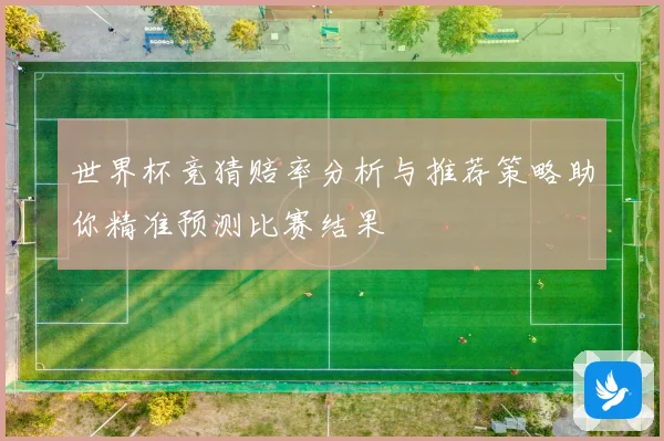 世界杯竞猜赔率分析与推荐策略助你精准预测比赛结果