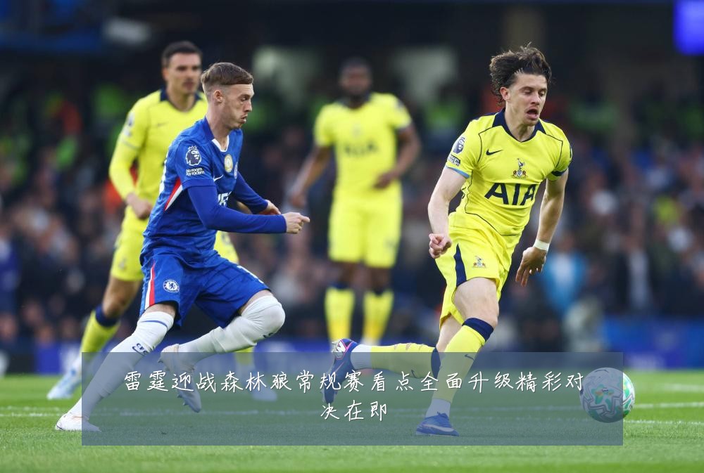 雷霆迎战森林狼常规赛看点全面升级精彩对决在即